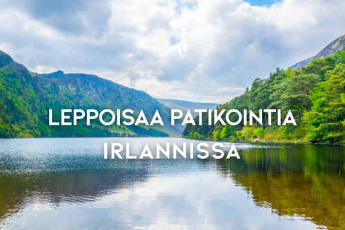 Uutiskuva