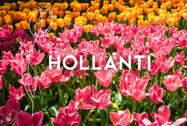 4.-11.4.2026 Tulppaanimatka Hollantiin Kohdekuva